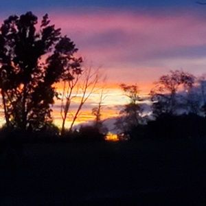 Meet your Posher, Katina